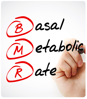 A hand writing Basal Metabolic Rate on a clear board