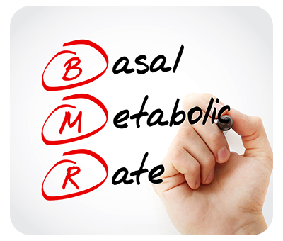 The text BMR - Basal Metabolic Rate