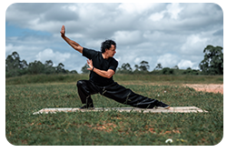 A man performing tai chi in the park